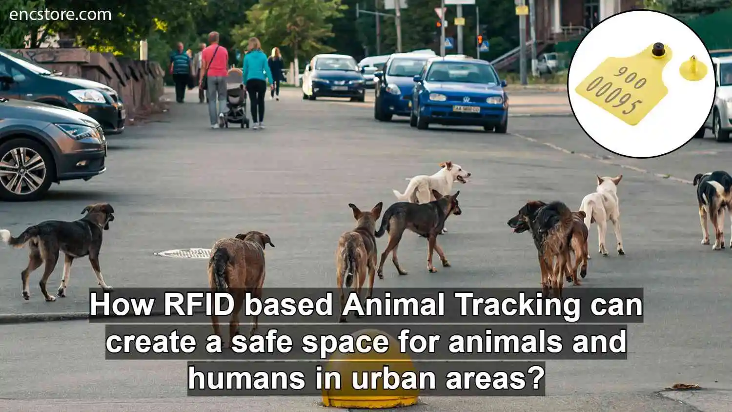 rfid based animal tracking system