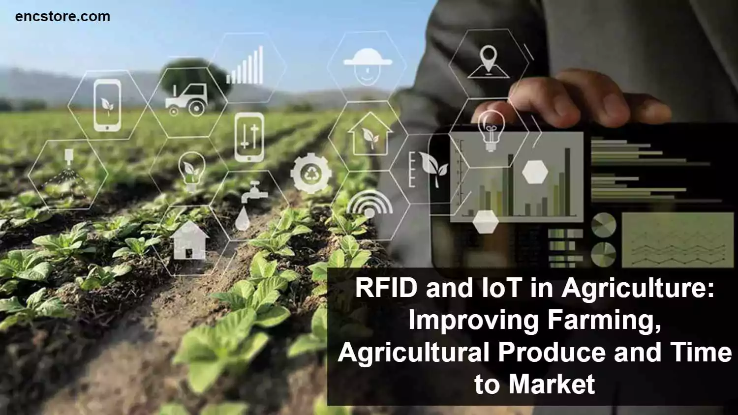 RFID and IoT in Agriculture