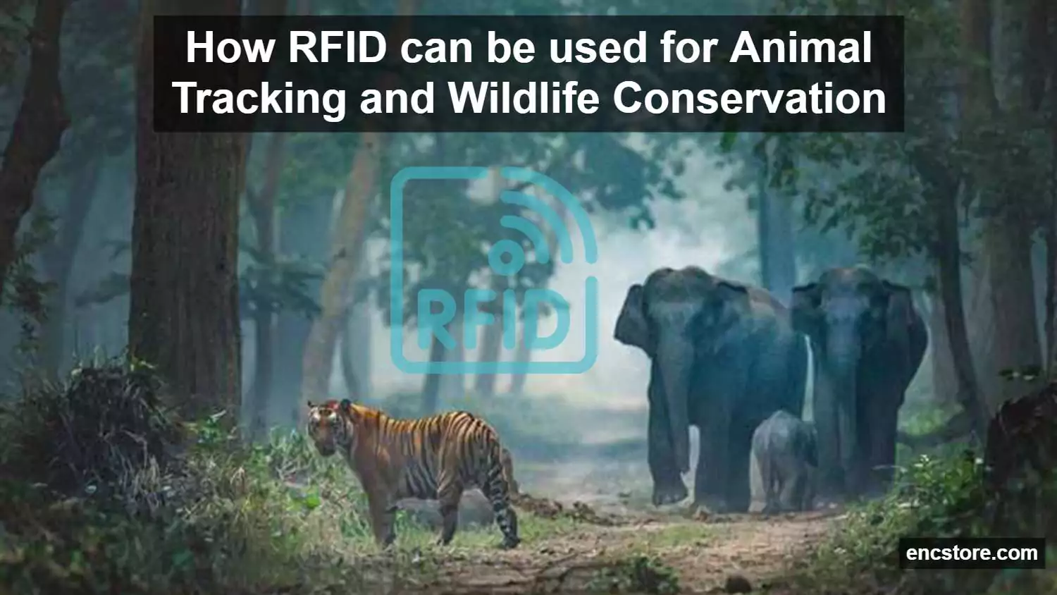 RFID for wildlife conservation
