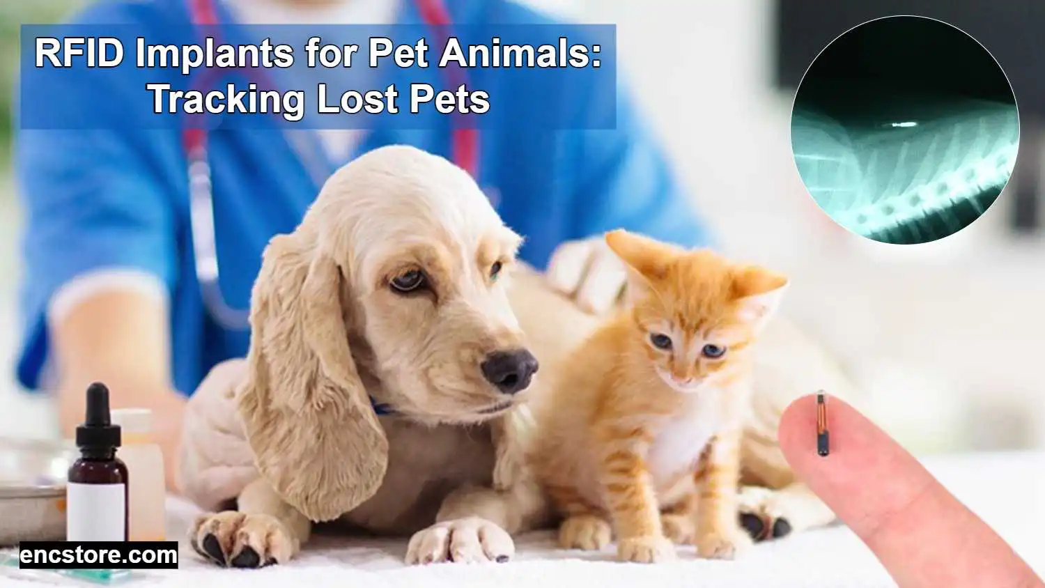 RFID Implants for Pet Animals