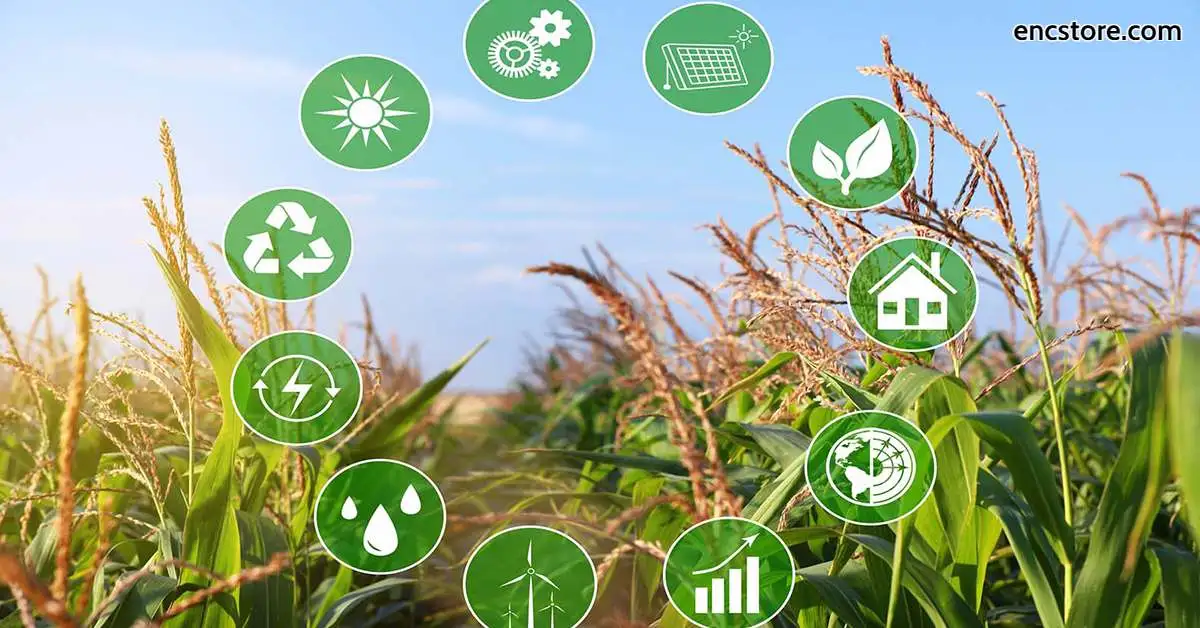 From Smart Cities to Agriculture: Applications of LoRa Technology 