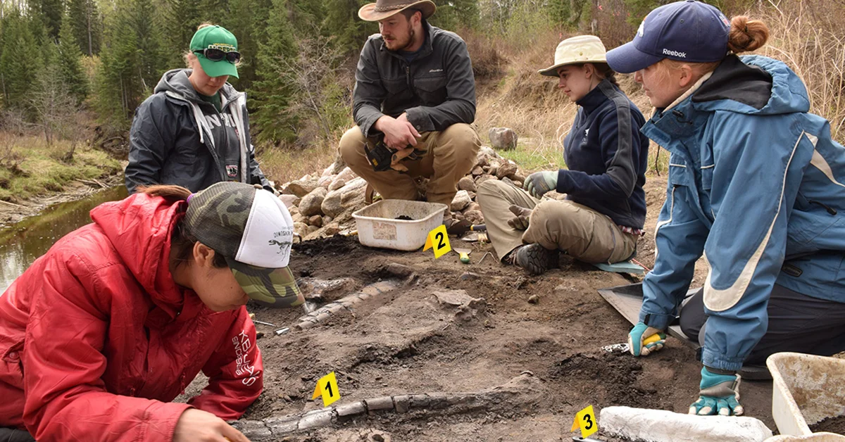 5 Powerful Ways RFID Transforms Science & Palaeontology Research