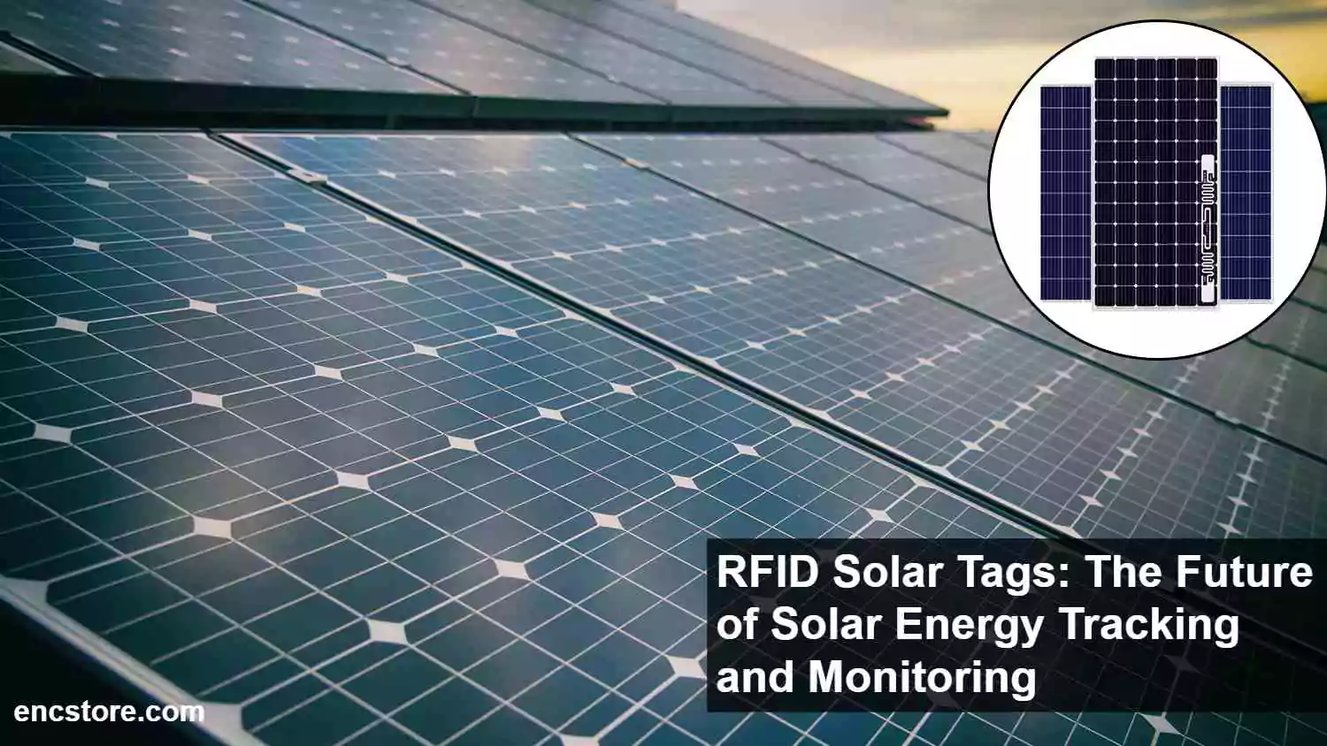 RFID Solar Tags