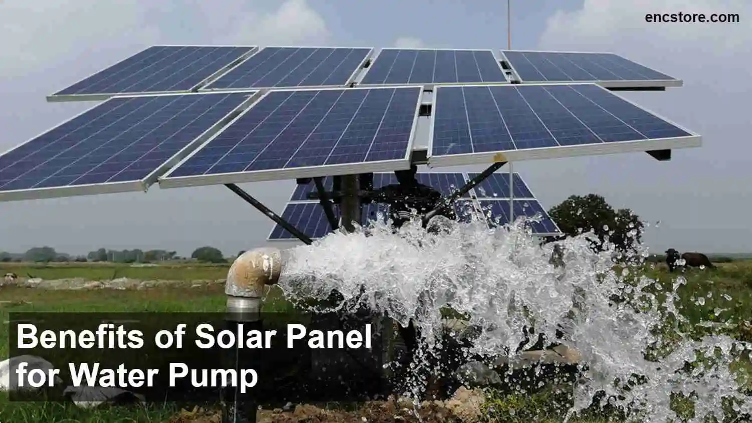 Benefits of Solar Panel for Water Pump
