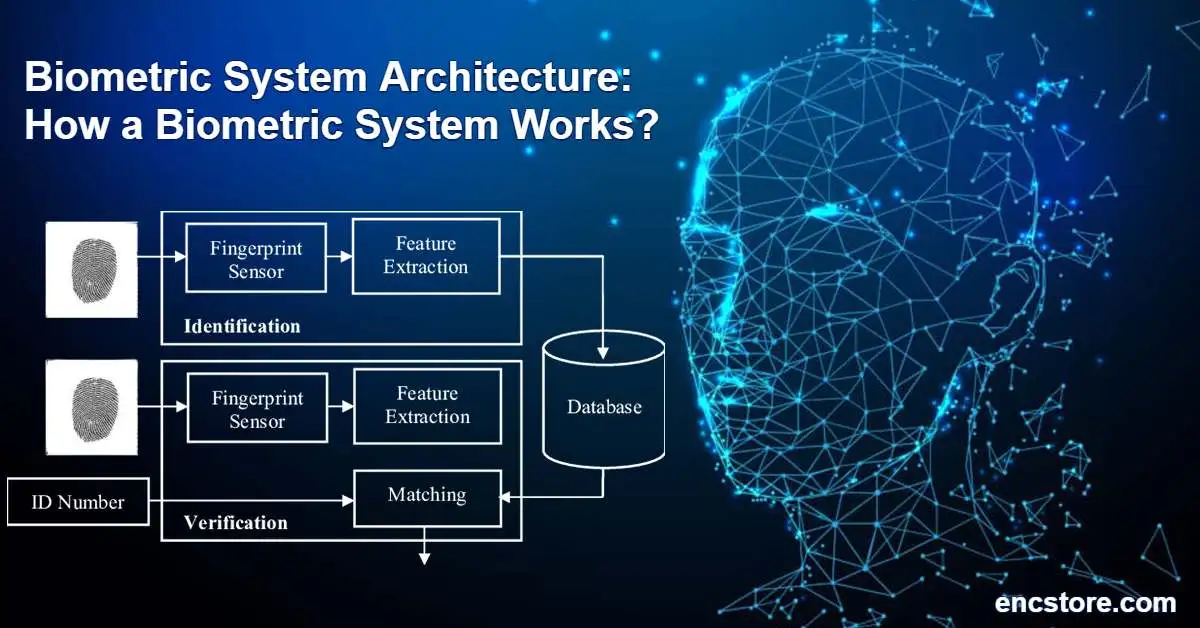 Biometric System Architecture: How a Biometric System Works?