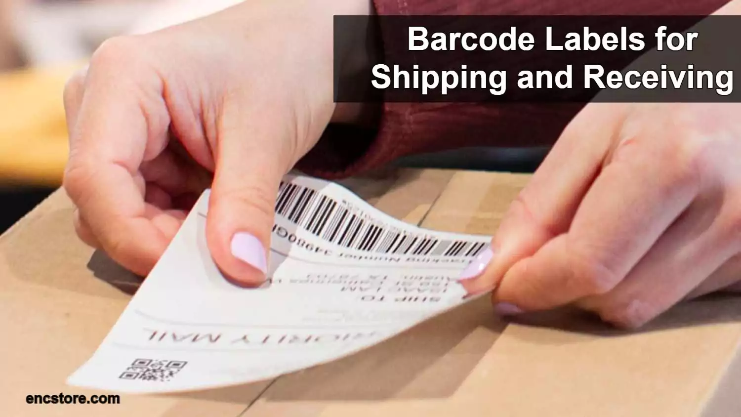 Barcode Labels for Shipping