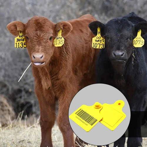 Ear Tags for Animals & Cattles