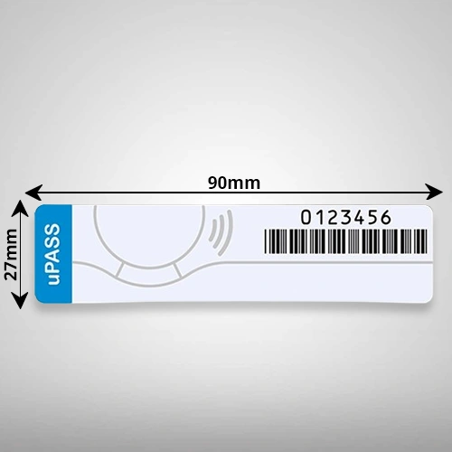 Windshield Tags